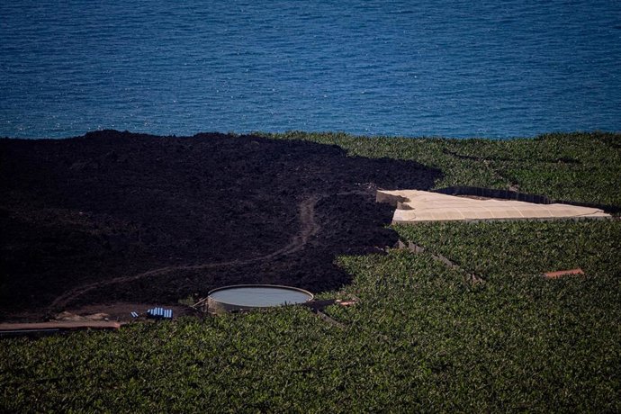 Archivo - Vista general de la colada de lava rodeada de cultivos de plátano en la costa del municipio de Tazacorte