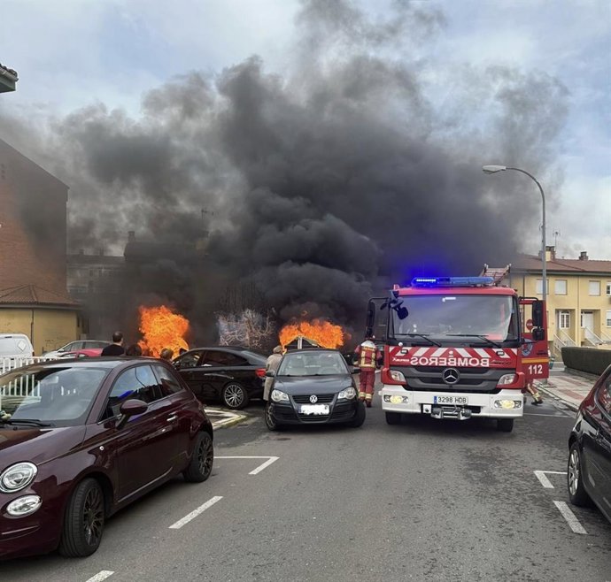 Un incendio ha arrasado este viernes cinco contenedores, ha calcinado un árbol y ha causado daños en un vehículo en Trobajo del Camino (León)