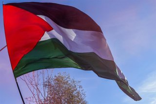 Archivo - Bandera palestina