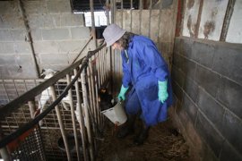 Foto: Carlos Castro - Europa Press - Archivo