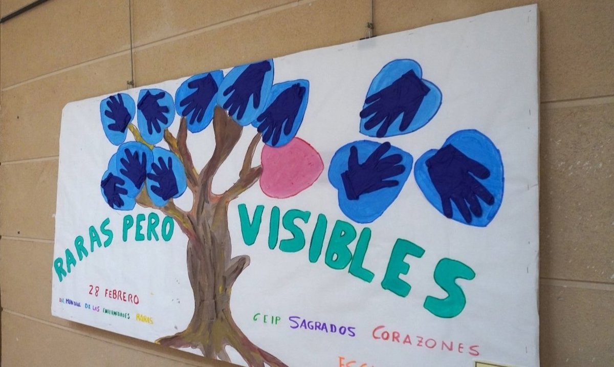 El PSOE reivindica más investigación, diagnóstico precoz y equidad para las personas con enfermedades raras