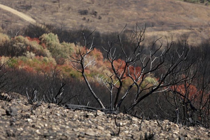Archivo - Paisaje en Las Médulas, a 2 de octubre de 2025, en El Bierzo, León, Castilla y León (España). El incendio de Las Médulas en agosto de 2025 ha sido uno de los más devastadores en la historia reciente de este paraje natural y Patrimonio de la Huma
