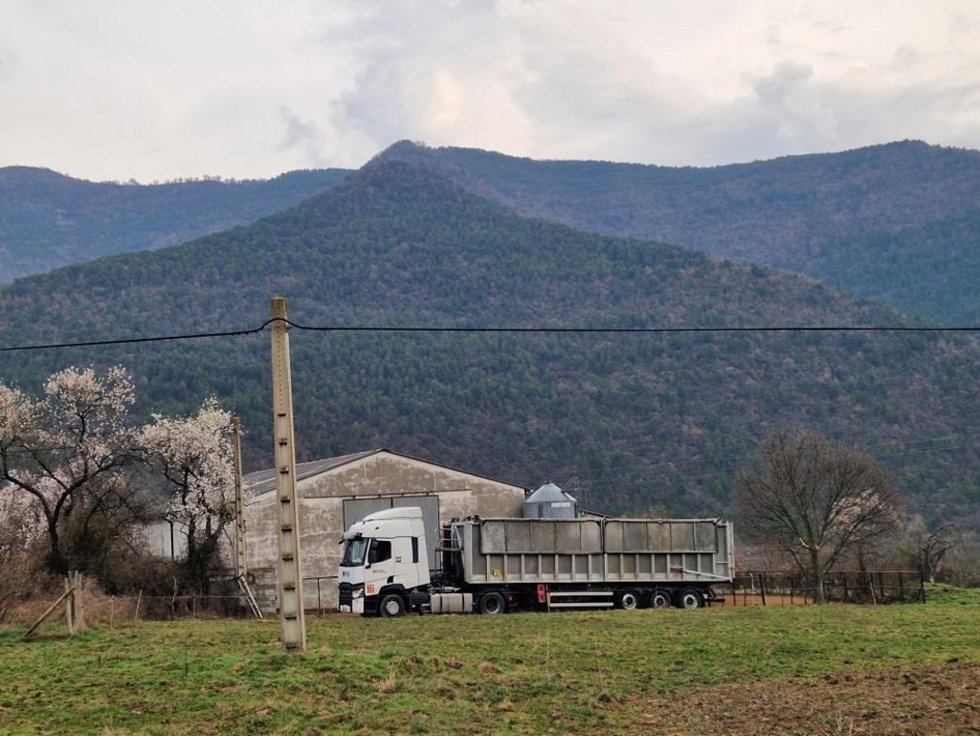 Los servicios veterinarios han acelerado el plan de vacunación en la zona afectada para alcanzar el 100% de la cabaña en la OCA de Boltaña.