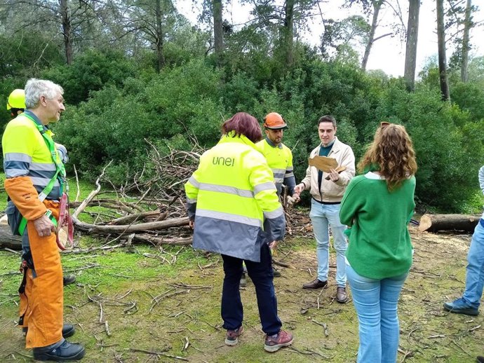 El teniente de alcaldesa de Coordinación de Servicios Públicos, Jaime Espinar, en la visita a los trabajos que se están acometiendo en el arbolado del Parque de Santa Teresa.