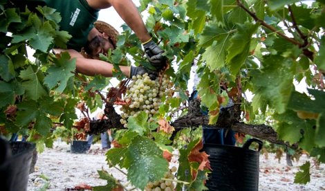 Es Andalucía - Sevilla
