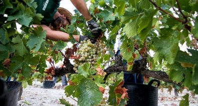 EpAgro - Agricultura