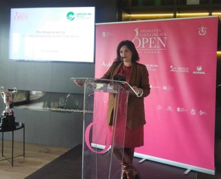 Archivo - Imagen de archivo de la presidenta del Consejo de Alcaldes del PP de Málaga, Margarita del Cid.