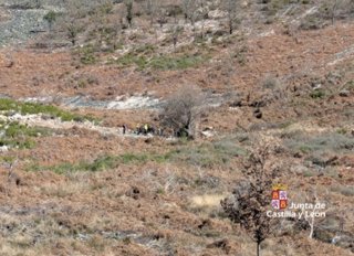 Imagen donde se encontraba trabajando el trabajador de Medio Ambiente que ha fallecido tras sentirse indispuesto.