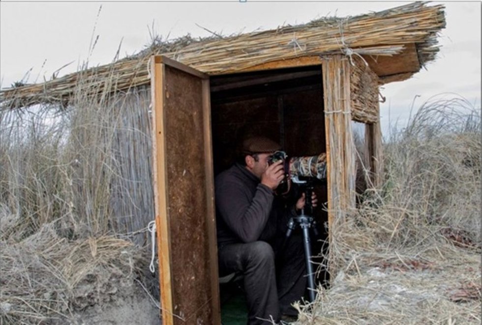 La Diputación Toledo licita la instalación de ocho puntos de observación de fauna en la Campana de Oropesa.