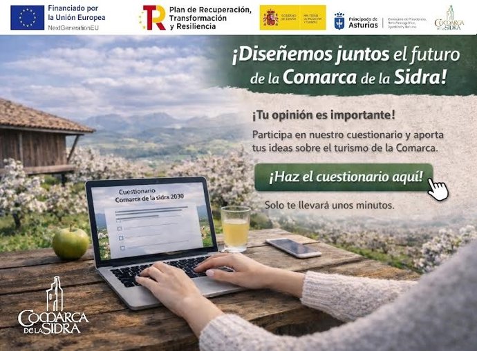 Proceso del cuestionario