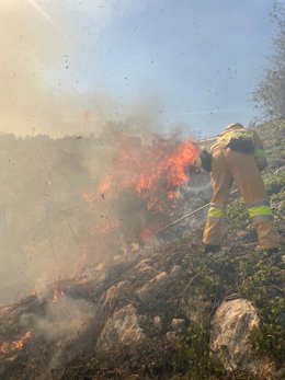 Incendio en Mijarojos (Cartes)