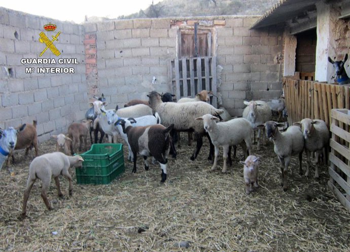 Vídeo de la noticia