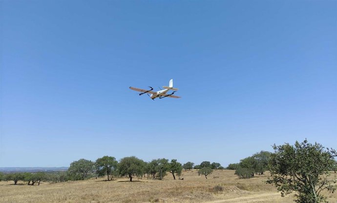 Toma de datos Ecosistema heterogéno en olivar.