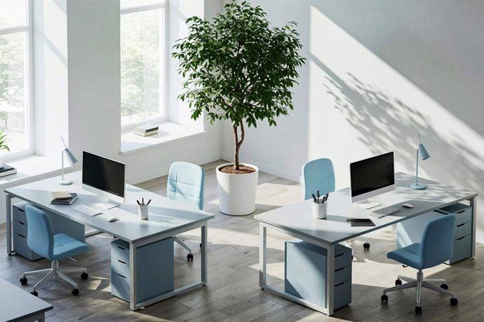 Mobiliario nacional en Mercaoficina; fabricación local, control de calidad y cumplimiento técnico