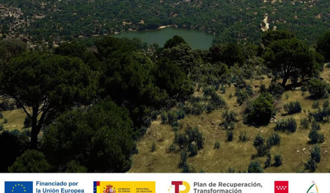 Comunicados Empresas