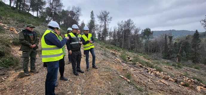 El consejero de Medio Ambiente, Universidades, Investigación y Mar Menor, Juan María Vázquez, visita las actuaciones de contención para evitar el decaimiento forestal provocado por la sequía y la prevención de incendios forestales en la zona de El Valle