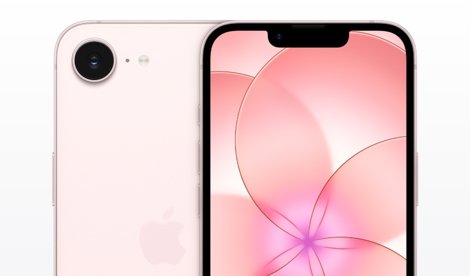 notibrasil sociedade