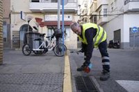 Mairena del Aljarafe (Sevilla) eleva a nivel 2 los trabajos de prevención del virus del Nilo