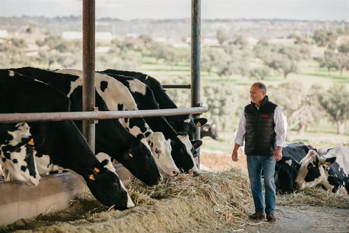 Archivo - InLac solicita "máxima transparencia" en la indicación del origen de la leche y responsabilidad comercial.