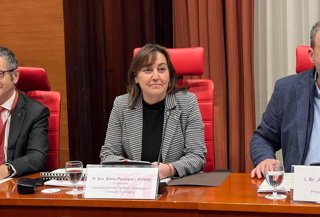 La consellera de Territorio, Vivienda y Transición Ecológica de la Generalitat, Sílvia Paneque, en una comparecencia en las comisiones de Territorio y Vivienda y de Transición Ecológica del Parlament