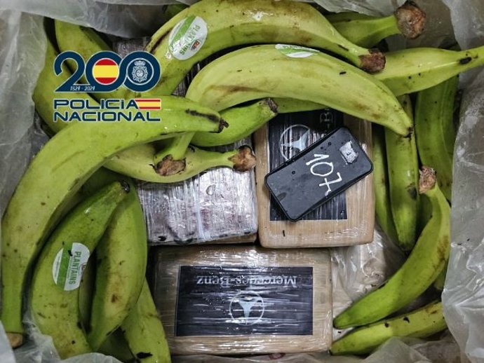 Intervenidos en el puerto de Algeciras (Cádiz) 240 kilos de cocaína ocultos en cajas de plátanos