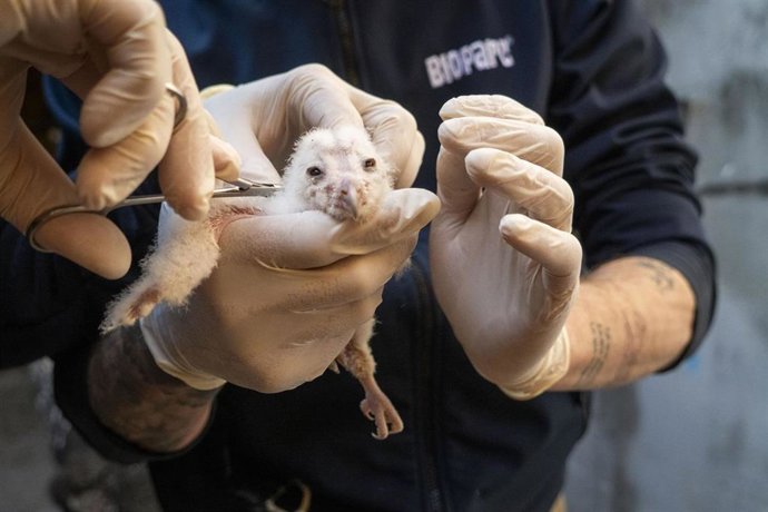 Vídeo de la noticia