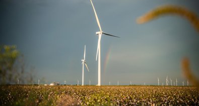 Energía y Medio Ambiente