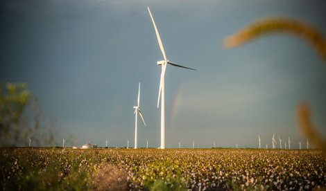 Energía y Medio Ambiente