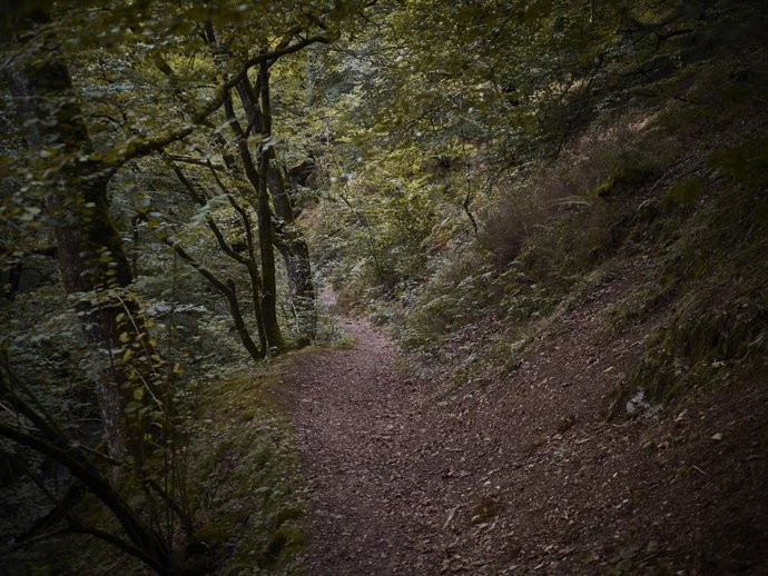 Archivo - Paisajes del Valle del Baztán en Navarra, horas antes de que comience el otoño, a 22 de septiembre de 2021, en Navarra (España).