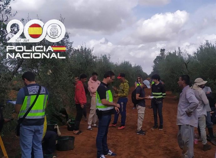 Trabajadores irregulares "explotados" en una finca de Dos Hermanas (Sevilla)