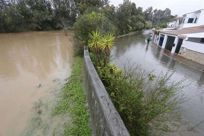 Calles anegadas de agua tras el paso de la borrasca Leonardo, en la localidad gaditana de Los Barrios (Cádiz). A 4 de febrero de 2026, en Los Barrios, Cádiz (Andalucía, España). ARCHIVO.