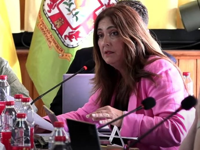 Archivo - La diputada socialista en la Diputación de Granada Remedios Gámez, en imagen de archivo