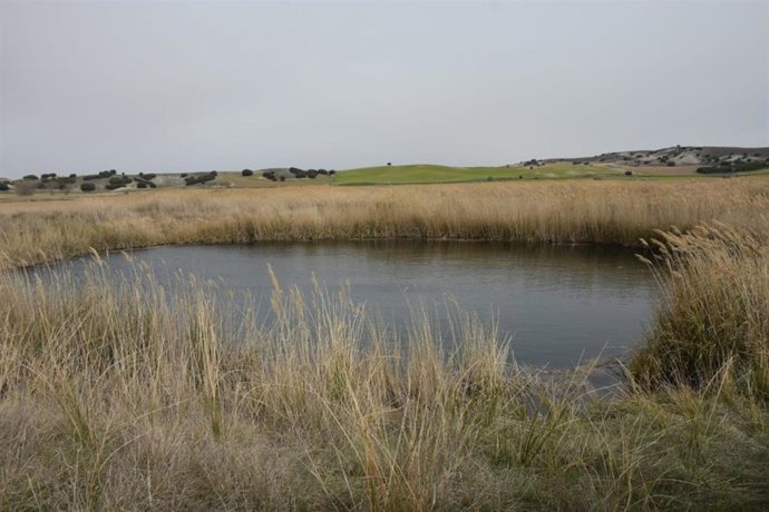 Las Lagunas de Ballesteros.