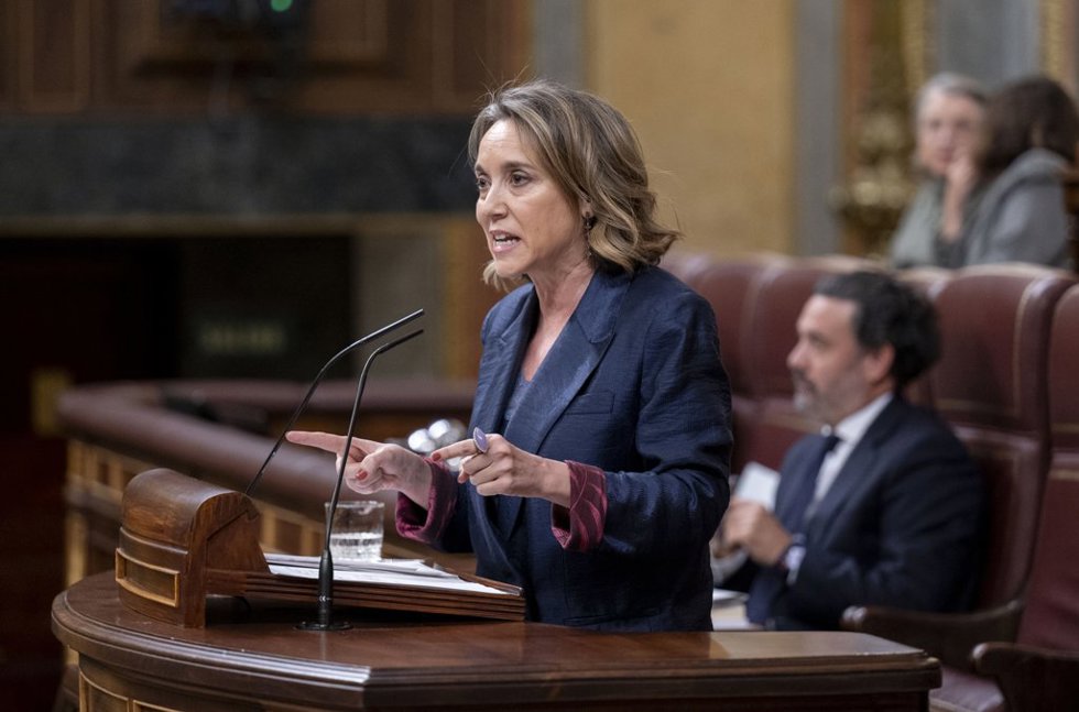 La vicesecretaria de Regeneración del Partido Popular, Cuca Gamarra, interviene durante una sesión plenaria, en el Congreso de los Diputados, a 12 de febrero de 2026, en Madrid (España).