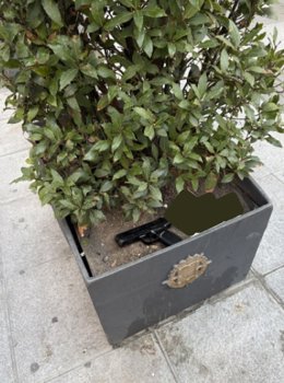 Pistola localizada en una jardinera del centro de Valladolid.