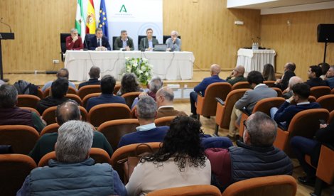 Es Andalucía - Huelva