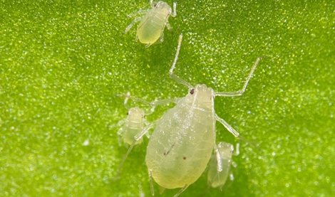 Es  Andalucía - Almería