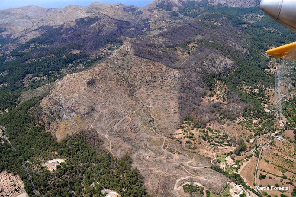 Archivo - Actuaciones realizadas en la zona del incendio de la Serra de Tramuntana