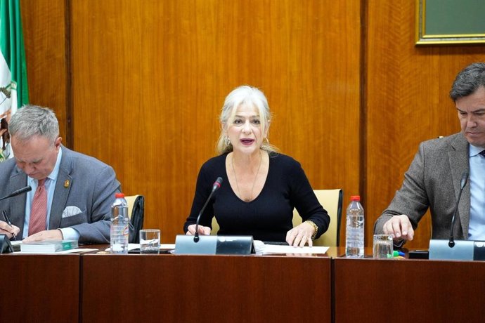 La consejera de Cultura y Deporte de la Junta de Andalucía, Patricia del Pozo, en la comisión parlamentaria del 3 de marzo de 2026.