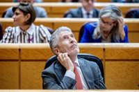 Marlaska llama "niña" y luego "inmadura" a la portavoz del PP en el Senado tras mostrarle una foto con Koldo García
