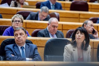 La ministra de Igualdad, Ana Redondo el ministro de Agricultura, Pesca y Alimentación, Luis Planas, durante una sesión de control al Gobierno en el Senado, a 3 de marzo de 2026, en Madrid (España). 