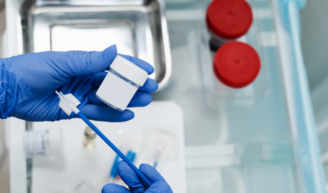 notibrasil sociedade