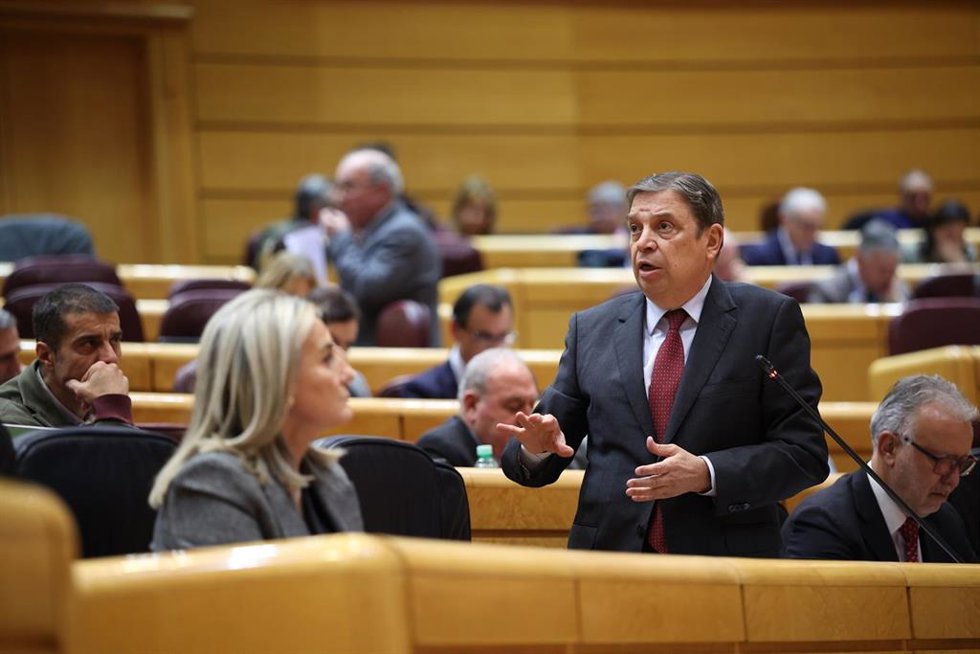 El ministro de Agricultura, Pesca y Alimentación, Luis Planas, interviene durante una sesión plenaria en el Senado,  
