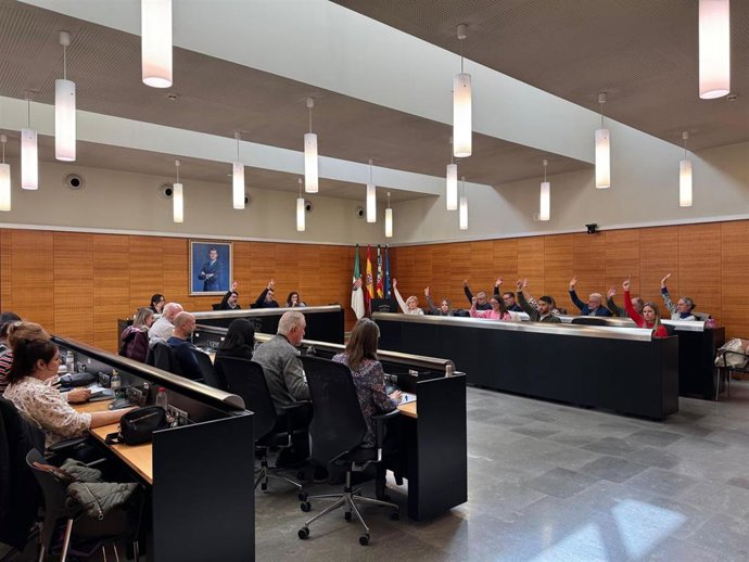 Pleno de Sant Vicent del Raspeig (Alicante)