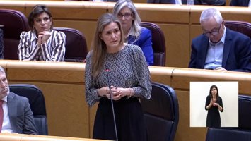 Aagesen defiende que los planes en redes eléctricas "beneficiarán a los territor