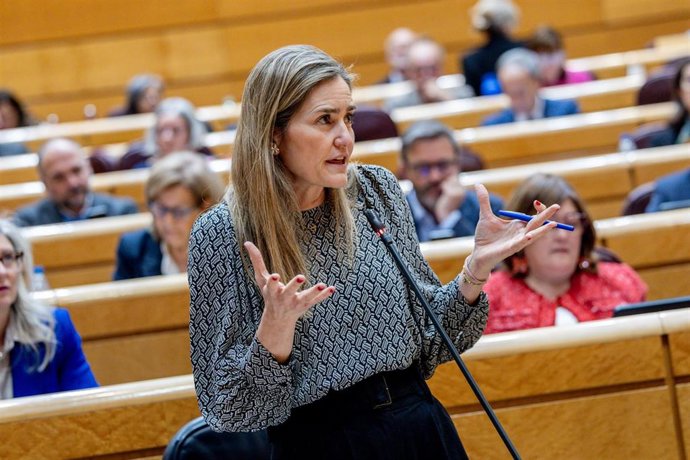 La vicepresidenta tercera y ministra para la Transición Ecológica y el Reto Demográfico, Sara Aagesen, durante una sesión de control al Gobierno en el Senado, a 3 de marzo de 2026, en Madrid (España). 