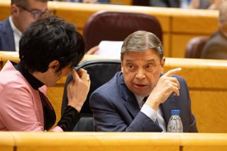 El ministro de Agricultura, Pesca y Alimentación, Luis Planas