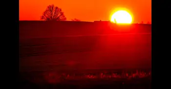 Cuatro décadas de datos brindan una visión única de la vida interior del Sol