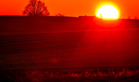 notibrasil sociedade