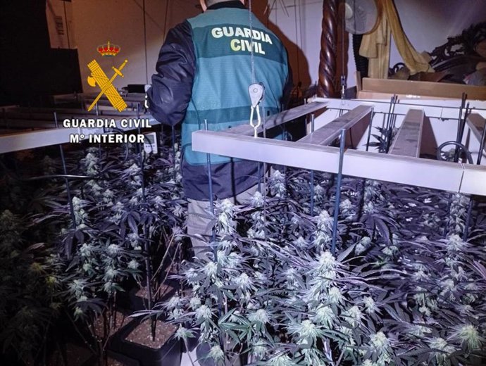 Dos detenidos tras desmantelar una plantación de cultivo de marihuana en Arenas